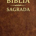 livros-de-estudos-biblicos-313×500